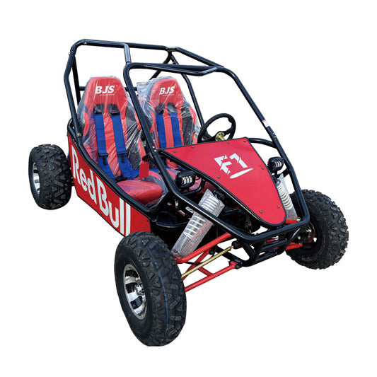 200-350cc two-seater go kart